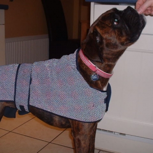 Lola in her coat