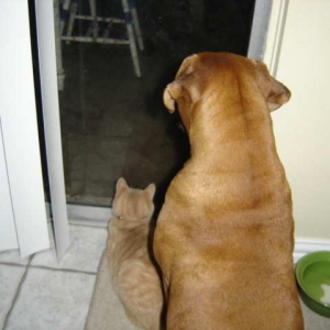 Boris and J.R.