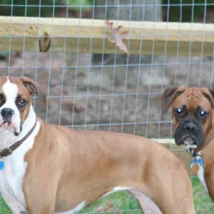 Cleo_and_Cairo_2