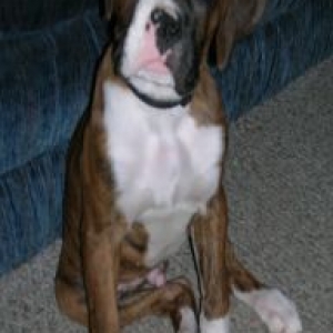 12 weeks