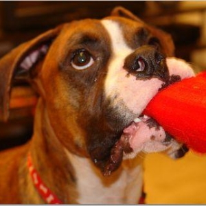 Toy time...