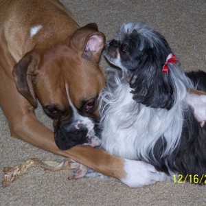 Mitzi N Payton