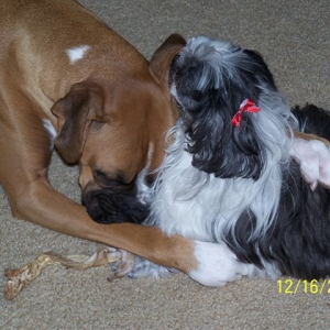 Mitzi cleaning Payton