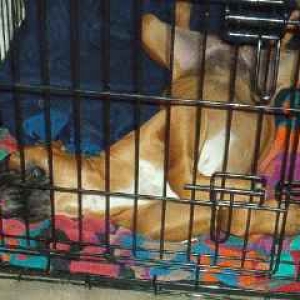 Sleepy girl