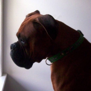 daydreaming