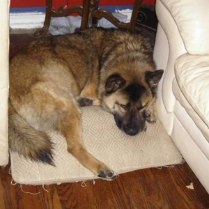 Otis1