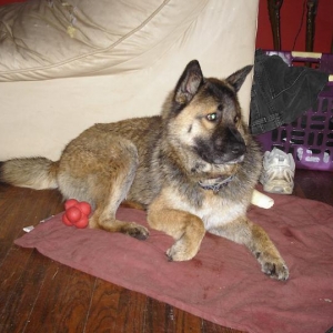 Otis3
