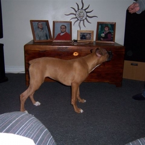 Lucy 3