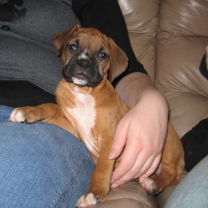 Lil' Lucy