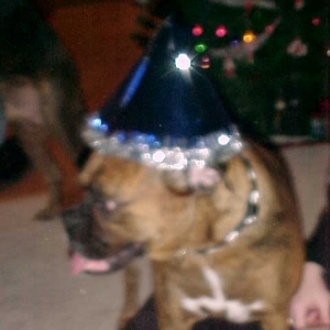 New Years Hat!!