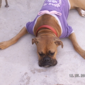 pooped3