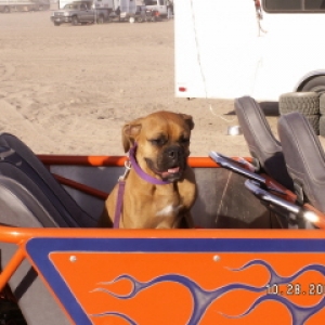 sandrail