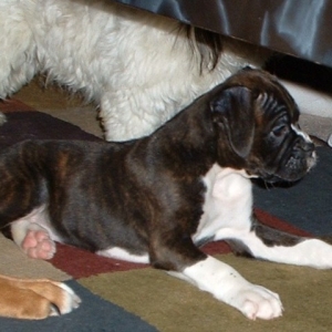 Jorja's first day home