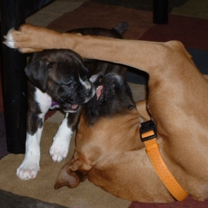Jorja and Lewis playing