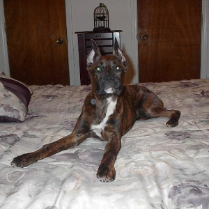 16 wks old