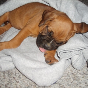 Nap time!