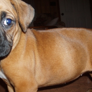 Daisy's ready for her close up!