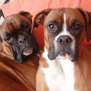 Pretty Girls