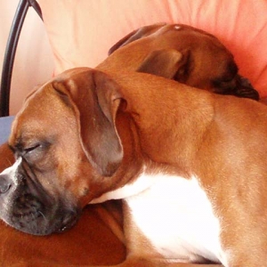 Sleepy Girls
