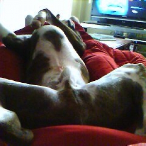 Nap time