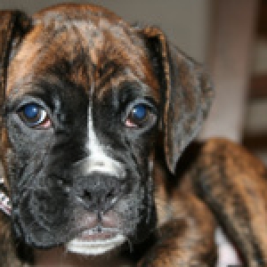 Ellie First Photo