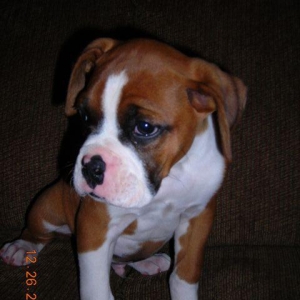 First Picture