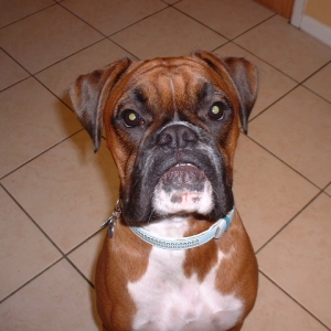 Zeb's 1st birthday