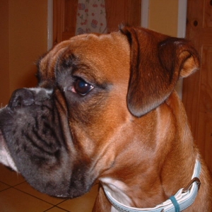Zeb's 1st birthday