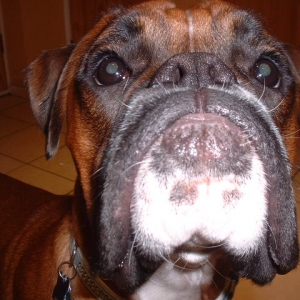 Zeb's close up