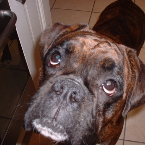 My big girl Lola