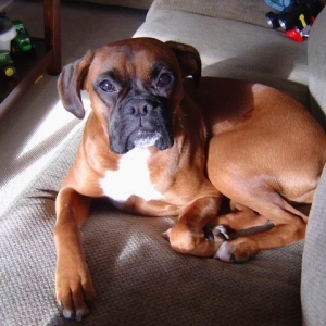 Chill'n on the sofa