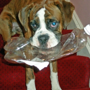 Please play with me?