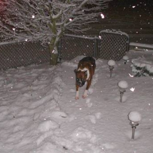 It's snowing again