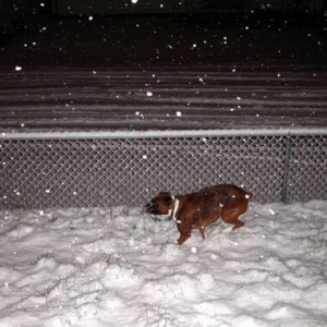 Burning in the snow