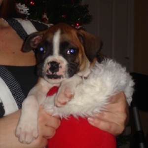 Penny in Stocking
