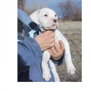 Our new rescue