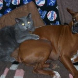 Sadie and Smokey