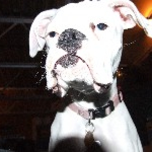 toughgirl