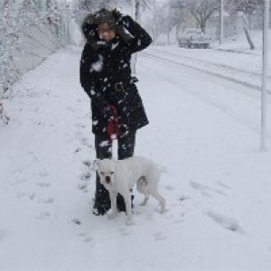 first snow fall