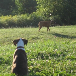 Harley and Jake