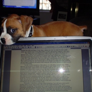 Kuma hates homework!