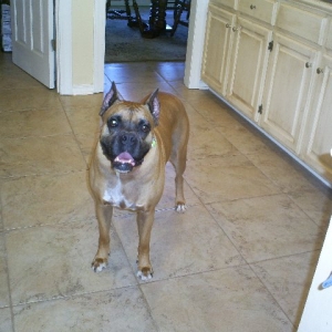 Buster7A