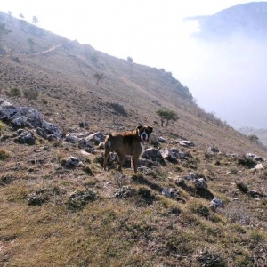Mountainside