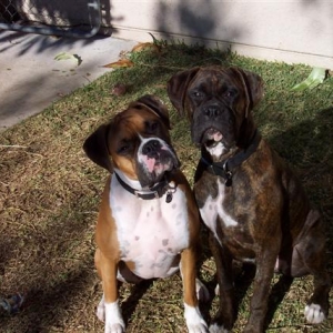 Samantha & Syd
