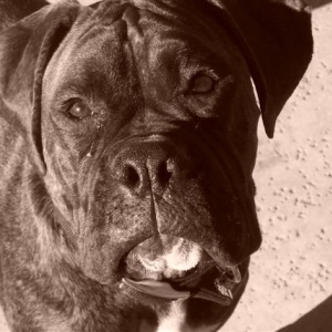 Syd - 10 Month's Old