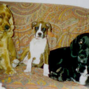 Nico, Gilda & Simon 1994
