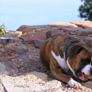 Resting at the summit
