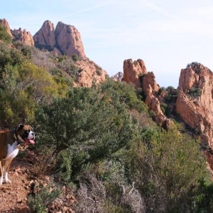 Climbing