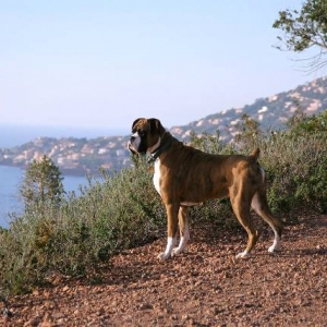Taking in the view