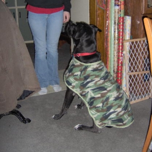Cole in his new coat